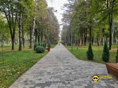 Городской сад Сосновый в посёлке Берёзовый