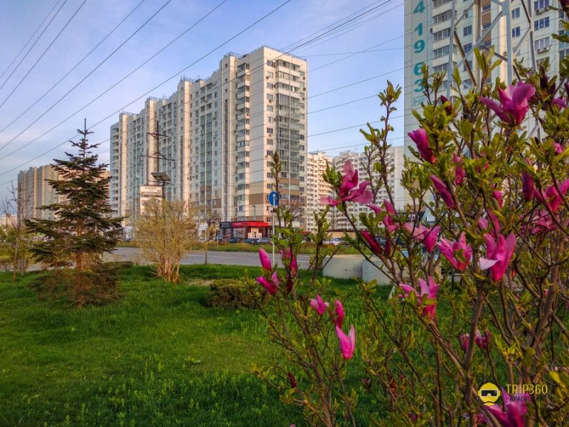 В Краснодаре смягчили режим карантина